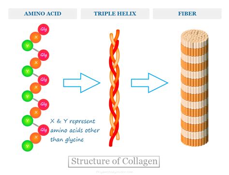 Illustration of hair strand showing penetration of key ingredients like collagen and keratin