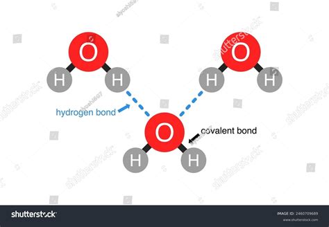 Illustration of water molecules
