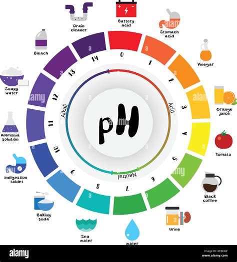 Illustration of pH scale with common cosmetic ingredients