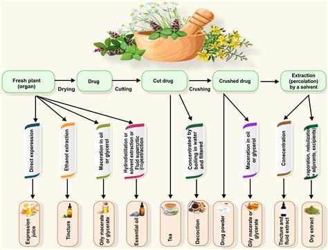 Chart comparing natural remedies for dog warts (Thuja, Vitamin E) with potential outcomes