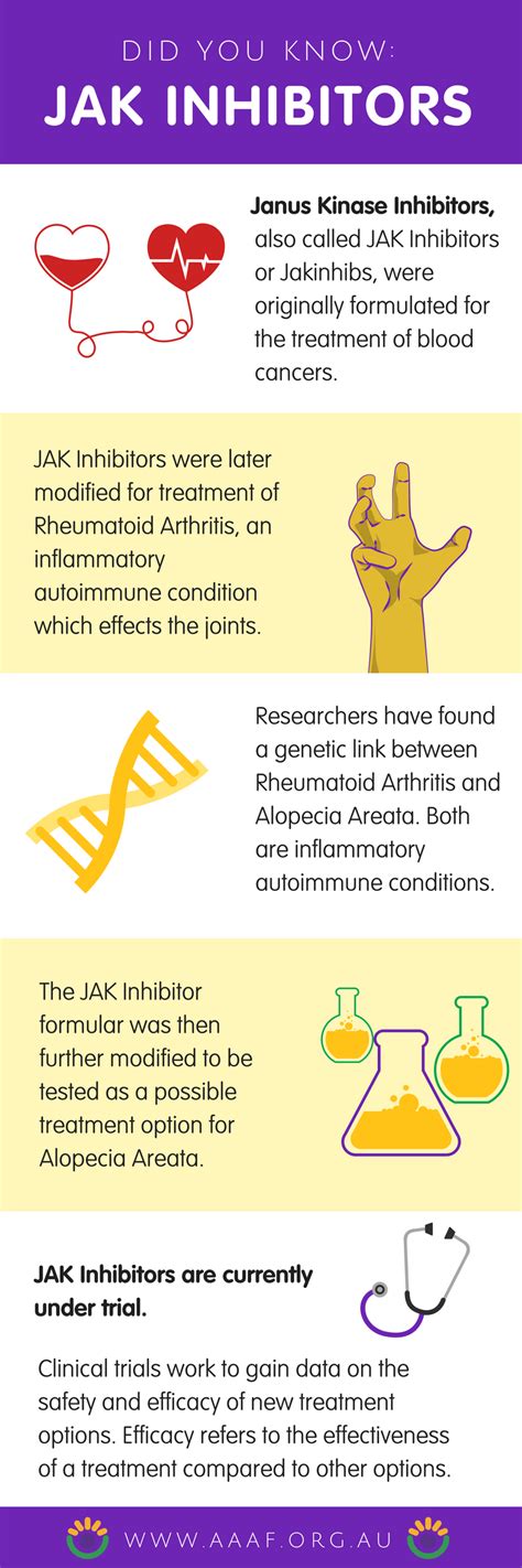 Infographic showing the mechanism of JAK inhibitors in treating alopecia areata