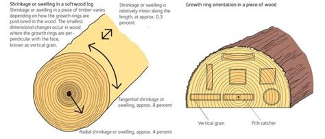 Diagram illustrating the difference in wood shrinkage between radial and tangential directions for various wood species.