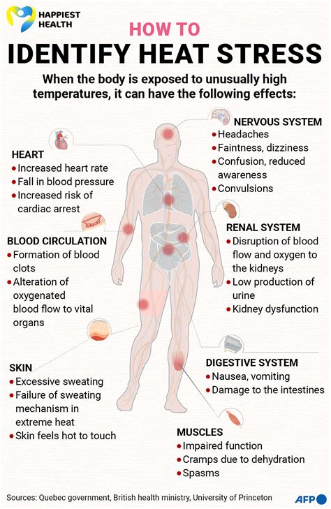 Infographic illustrating the effects of heat stress on the human body and how sun protection can help.