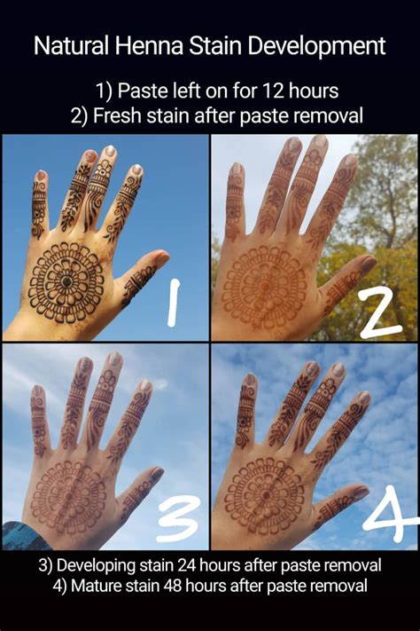 Diagram illustrating the process of henna application and stain development