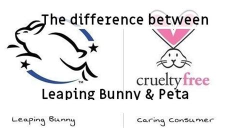 A graphic displaying common vegan certification logos like Vegan Society, Leaping Bunny, and PETA.