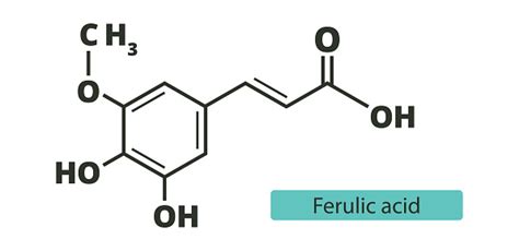 Illustration of Ferulic Acid's molecular structure and its role in antioxidant synergy