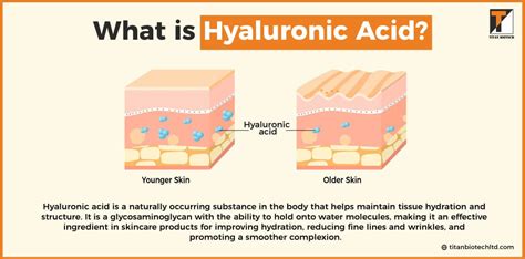 Visual representation of how different active ingredients like retinol, hyaluronic acid, and vitamin C work on the skin.