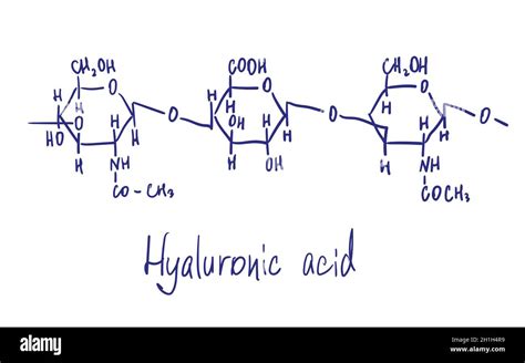 Diagram illustrating the structure of hyaluronic acid molecules.