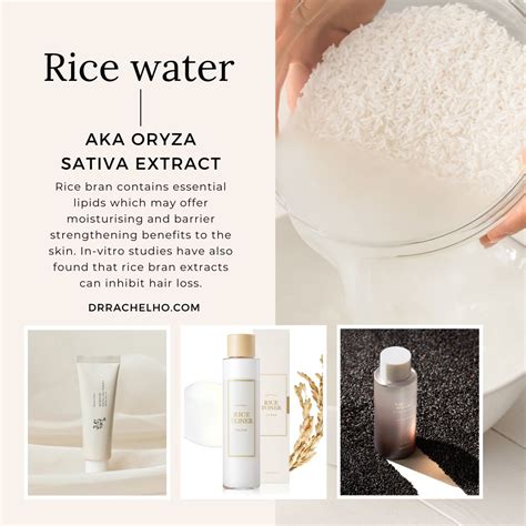 A visual representation of rice grains and water, symbolizing the natural origin of rice-based skincare ingredients.
