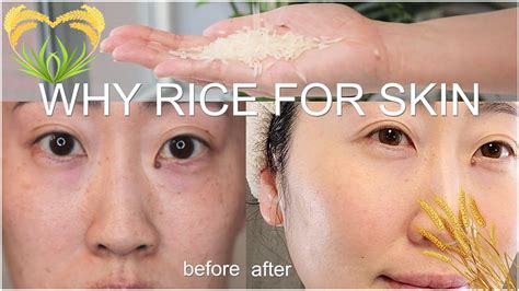 Infographic illustrating the various benefits of rice extract for skin, such as brightening, hydration, and anti-aging.