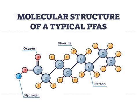 A diagram illustrating the molecular structure of key rice-derived compounds and their interaction with skin cells.