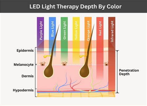 Infographic explaining the different wavelengths used in LED therapy