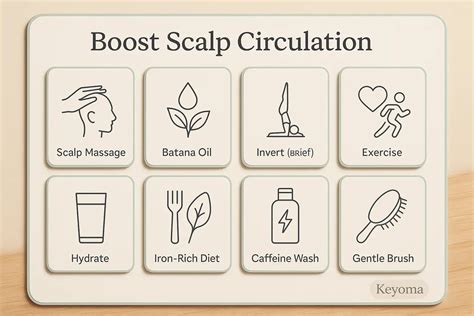Infographic illustrating the mechanism of caffeine on hair follicles and scalp circulation