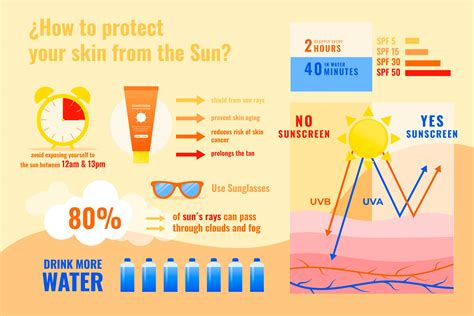 Infographic illustrating the effects of UV radiation on skin and the importance of sunscreen