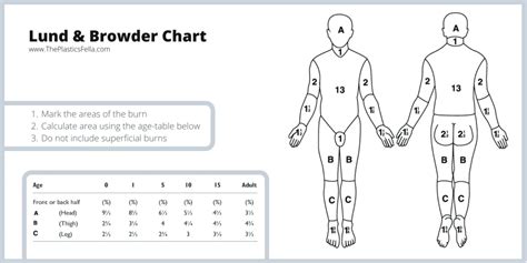 Infographic comparing Lund and Browder Chart, Wallace Rule-of-Nines, and Palmar Method for burn TBSA calculation