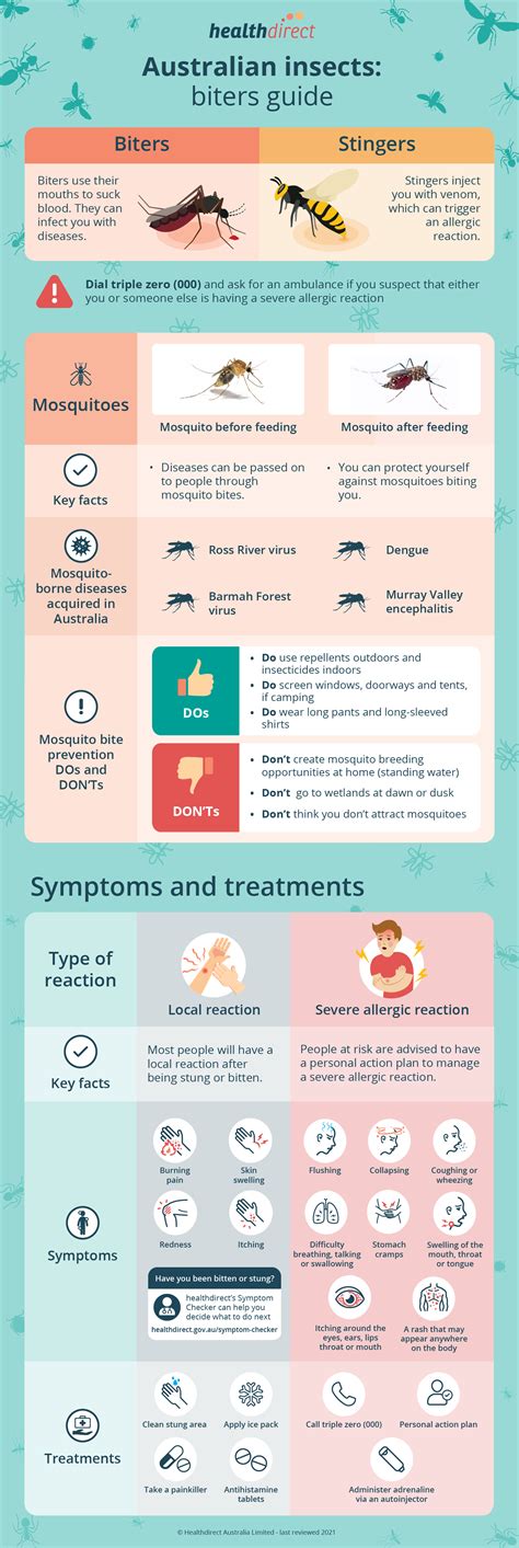 infographic comparing different types of insect bites and their common treatments