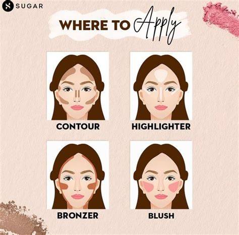 Illustration showing where to apply bronzer, blush, and highlighter on the face.