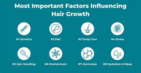 Infographic showing the internal and external factors contributing to healthy skin and hair.