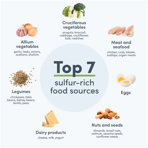 Collage of various sulfur-rich foods: eggs, broccoli, garlic, onions, spinach, whole grains.