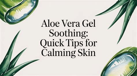 Infographic comparing pure aloe vera gel's soothing properties versus its lack of UV protection