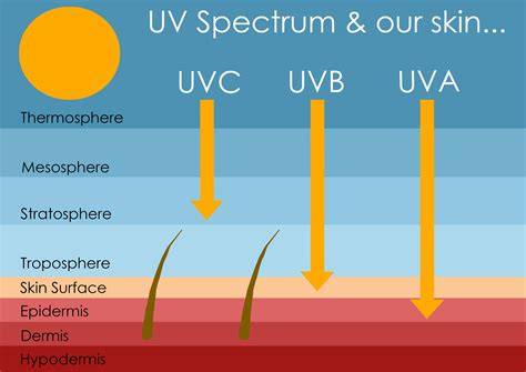 Infographic showing different types of UV rays and their effects on skin