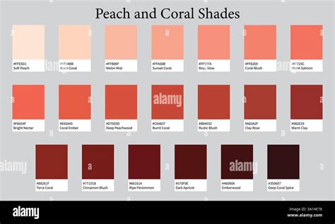 A variety of blush shades, including warm peaches, corals, and rosy tones, displayed on a neutral background.