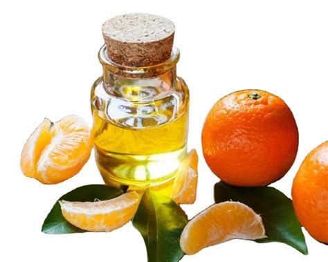 Close-up of mandarin orange peel being processed for essential oil extraction.
