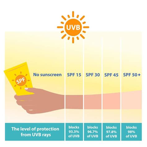 Infographic comparing the percentage of UVB rays blocked by different SPF levels.