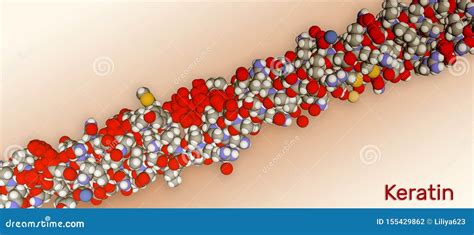 Molecular structure of keratin protein filaments