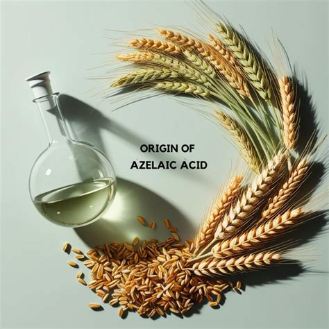 Illustration showing the molecular structure of azelaic acid and its origin from grains.