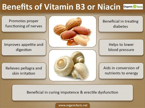 Infographic comparing Niacinamide to other Vitamin B3 forms and highlighting its key benefits.