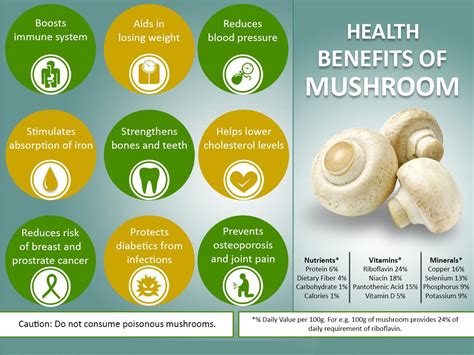 Infographic detailing the benefits of the Mega-Mushroom blend