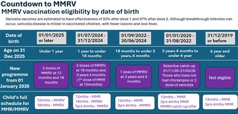 Infographic illustrating the diseases protected by the MMRV vaccine: measles, mumps, rubella, and chickenpox.