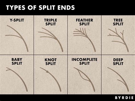 Split ends of hair contrasted with smooth, healthy hair strands