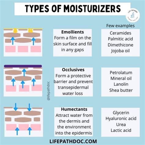 Illustration showing the molecular structure of common emollients and occlusives used in skincare.