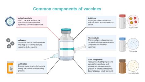 Infographic summarizing the key contraindications and serious interactions between COSENTYX and various vaccines.