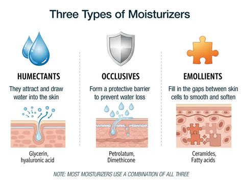Infographic detailing the three types of moisturizers: humectants, emollients, and occlusives, with examples of each.