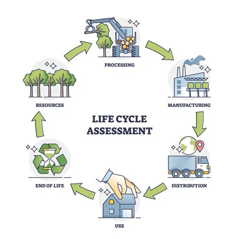 infographic illustrating the lifecycle of leather production and its environmental impact