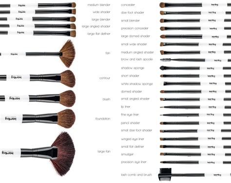 An assortment of makeup brushes with labels indicating their specific uses.