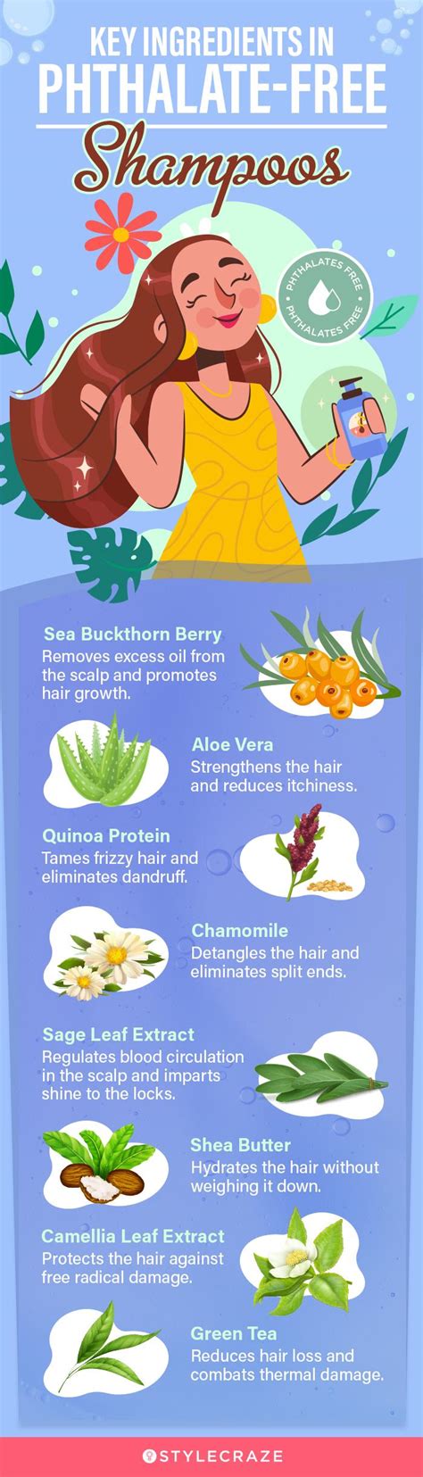 Infographic outlining key ingredients in shampoos for hair loss and their benefits