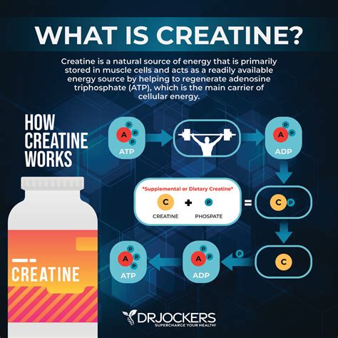 Infographic detailing the benefits of key ingredients like Creatine R and Ceramides for hair strength and shine