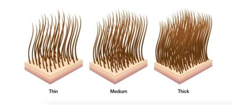 Illustration showing the difference in hair strand flexibility between dry and moisturized hair.
