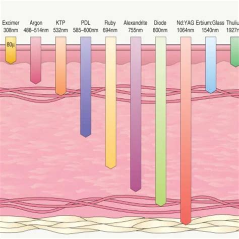 Infographic comparing the molecular sizes of different AHAs and their penetration depth into the skin