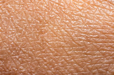 Close-up of skin texture after lotion application