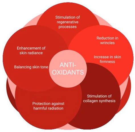 Infographic illustrating the difference between topical and ingested antioxidants for skin health.