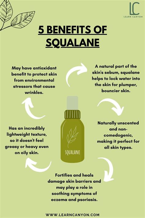 An infographic explaining the benefits of squalane for skin.