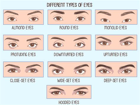 Infographic illustrating common types of eye wrinkles targeted by smoothing eye creams.