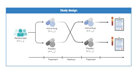 Diagram of the study design, illustrating the randomized, double-blind, placebo-controlled methodology.