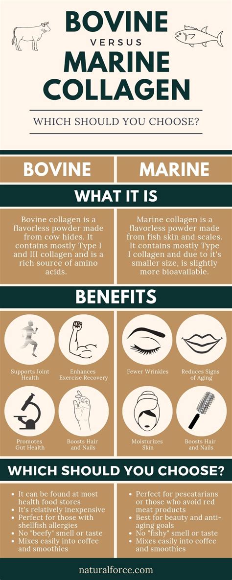 Infographic comparing the benefits of marine and bovine collagen for hair and skin health.