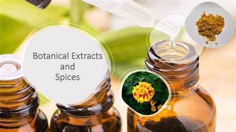 Close-up shots of various botanical extracts and oils used in Belle skincare